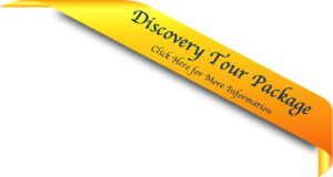 Cumberland Harbour Discovery Tour Banner